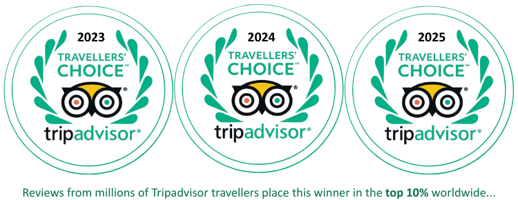 award e1753421151789